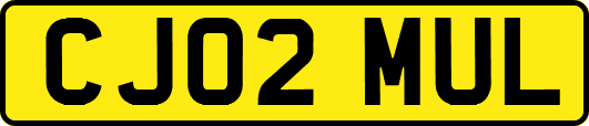 CJ02MUL