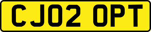 CJ02OPT