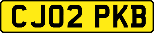 CJ02PKB