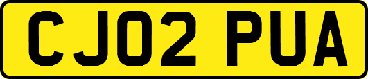 CJ02PUA