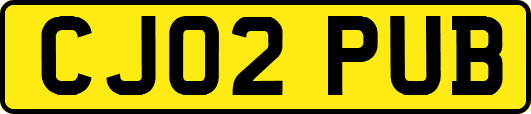 CJ02PUB