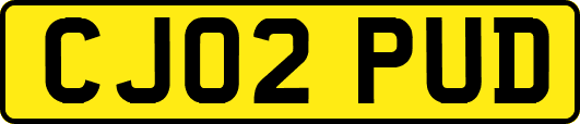 CJ02PUD