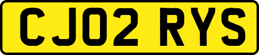 CJ02RYS