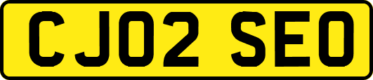 CJ02SEO