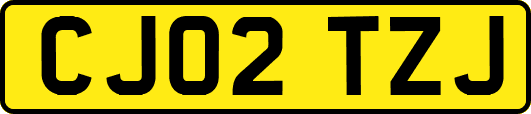 CJ02TZJ