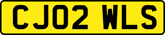 CJ02WLS