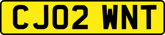CJ02WNT