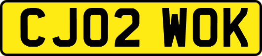 CJ02WOK