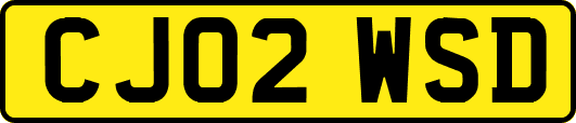 CJ02WSD