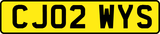 CJ02WYS
