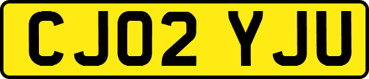 CJ02YJU