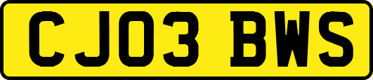 CJ03BWS