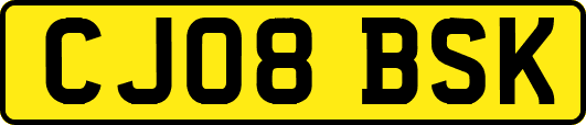 CJ08BSK