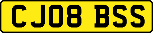 CJ08BSS