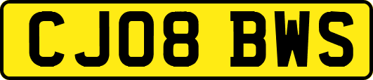 CJ08BWS