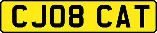CJ08CAT