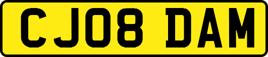 CJ08DAM
