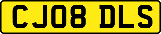 CJ08DLS