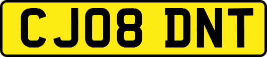 CJ08DNT
