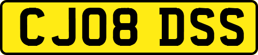 CJ08DSS