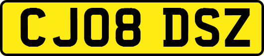 CJ08DSZ