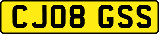 CJ08GSS