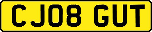 CJ08GUT