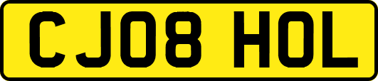 CJ08HOL