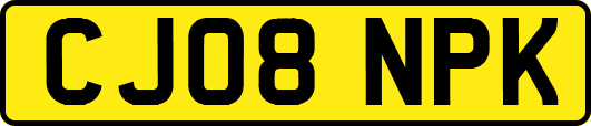 CJ08NPK