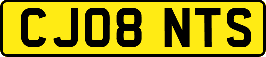 CJ08NTS