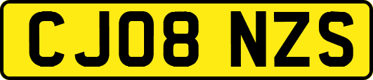 CJ08NZS