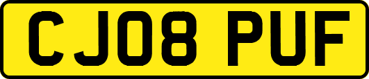 CJ08PUF