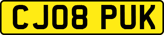 CJ08PUK