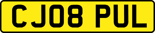 CJ08PUL