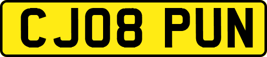 CJ08PUN