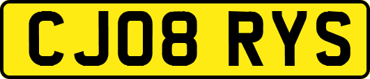 CJ08RYS