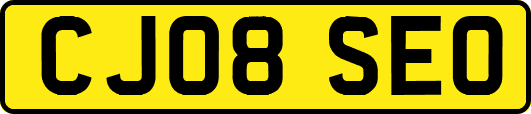 CJ08SEO