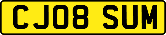 CJ08SUM