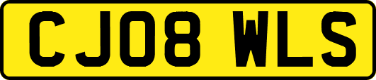 CJ08WLS