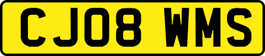 CJ08WMS