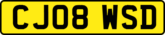 CJ08WSD