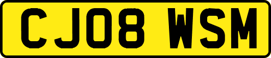 CJ08WSM