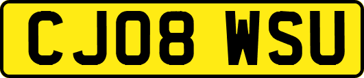 CJ08WSU