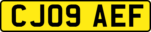 CJ09AEF