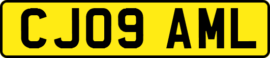 CJ09AML