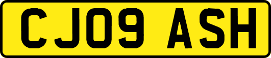 CJ09ASH