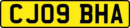 CJ09BHA