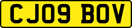 CJ09BOV