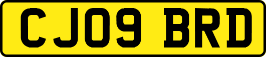 CJ09BRD