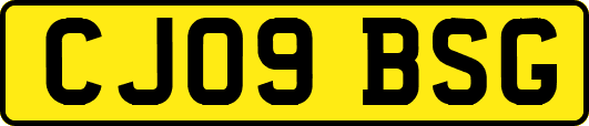 CJ09BSG